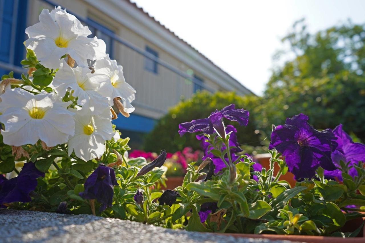 Green Bungalows Hotel Apartments Ajia Napa Zewnętrze zdjęcie